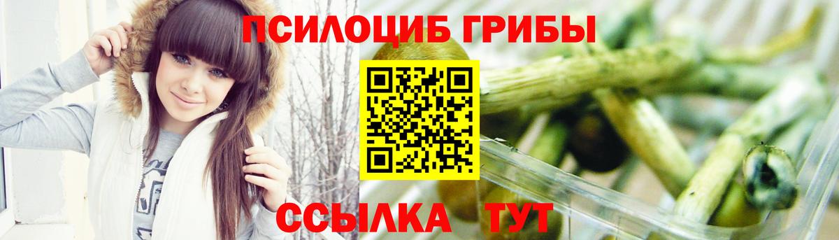 Псилоцибиновые грибы прущие грибы Ленинск-Кузнецкий